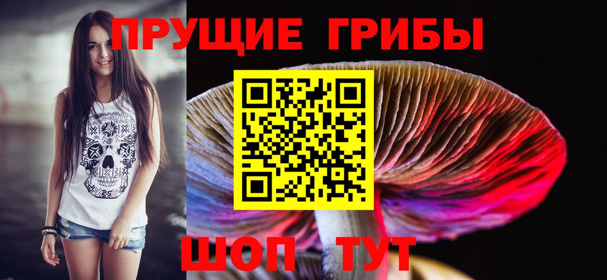 Псилоцибиновые грибы Psilocybe Калуга